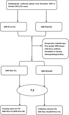 The value of multiparametric MRI radiomics in predicting IDH genotype in glioma before surgery